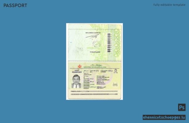 Beispielansicht eines Brunei-Passes